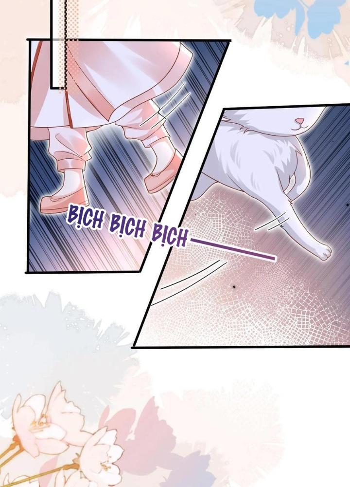Tiểu Manh Bảo Bốn Tuổi Theo Sư Phụ Xuống Núi Chapter 231 - Trang 2