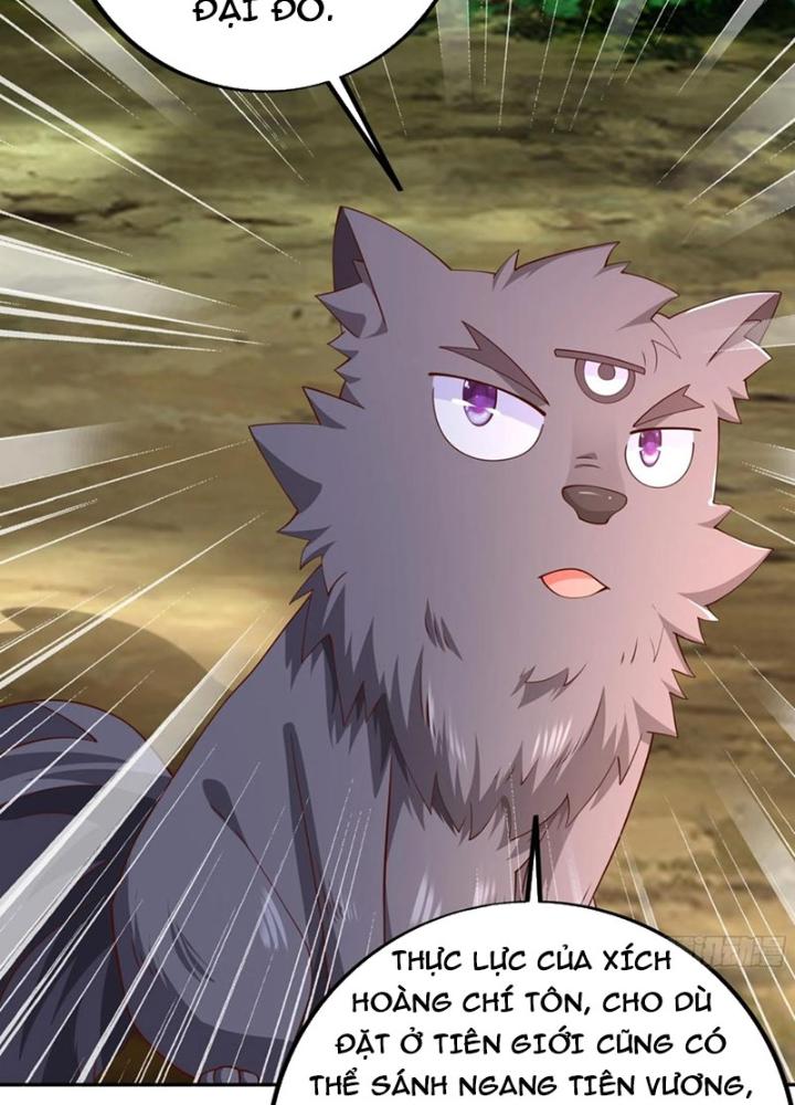 Trọng Sinh 1000 Lần, Ta Vô Địch Chapter 88 - Trang 4