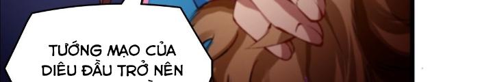 Long Hưởng Thiên Hạ Chapter 18 - Trang 3