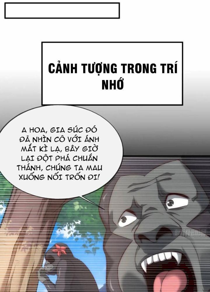 Cẩu Lương Thành Chuẩn Thánh, Ta Được Nữ Đế Triệu Hoán Chapter 56 - Trang 3