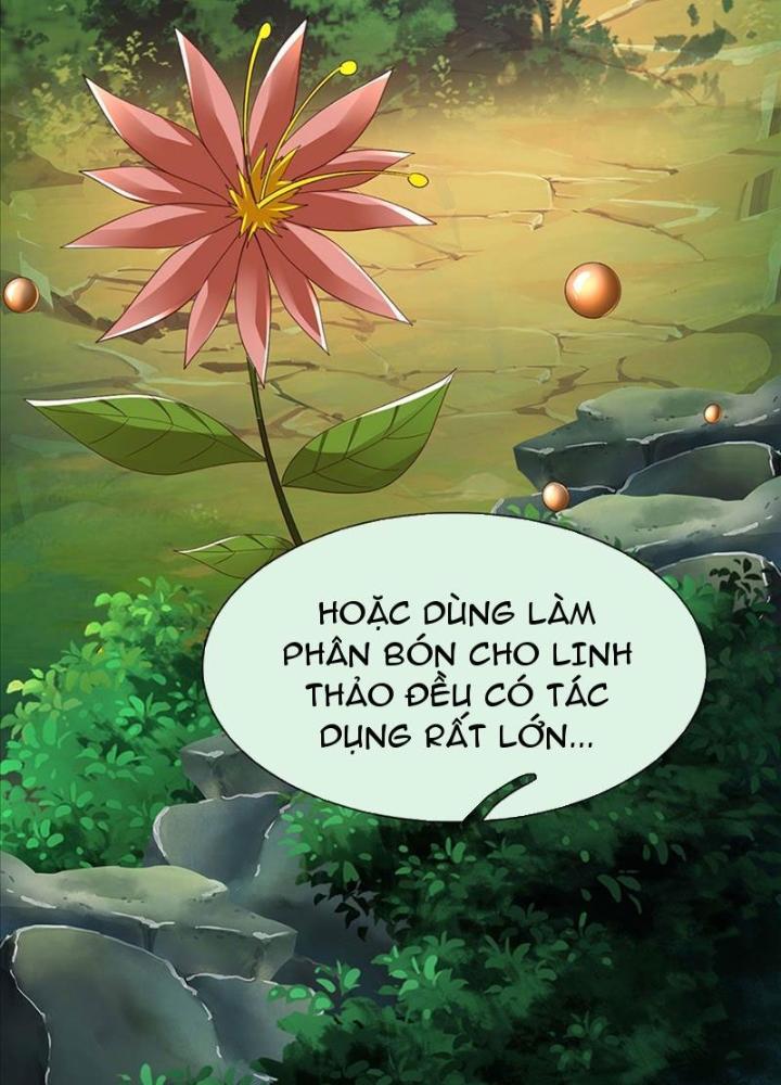 Ta Có Thể Cướp Đoạt Cơ Duyên Chapter 2 - Trang 2