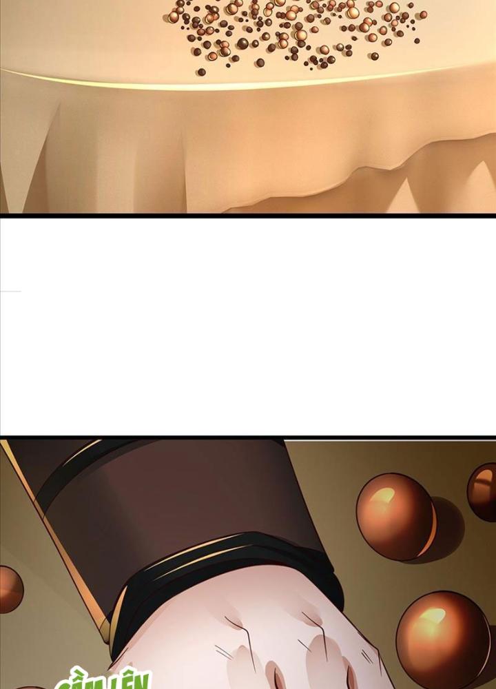 Ta Có Thể Cướp Đoạt Cơ Duyên Chapter 2 - Trang 2