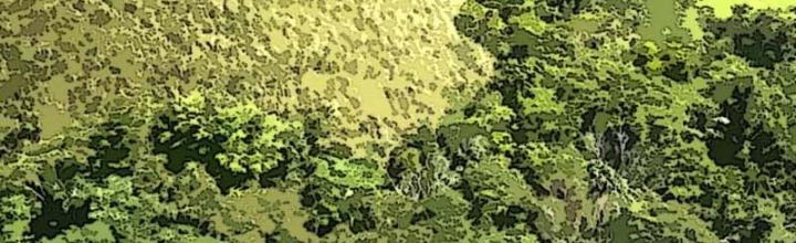 Tôi Bị Boss Đánh Cho Tơi Tả Chapter 50 - Trang 2