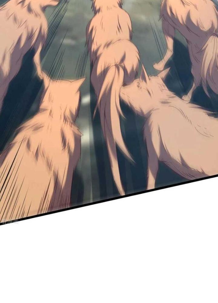 Ta Liều Mạng Mạnh Lên Chapter 24 - Trang 3