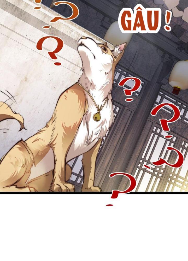 Tu Chân Thiên Mệnh Đại Phế Vật Chapter 9 - Trang 3