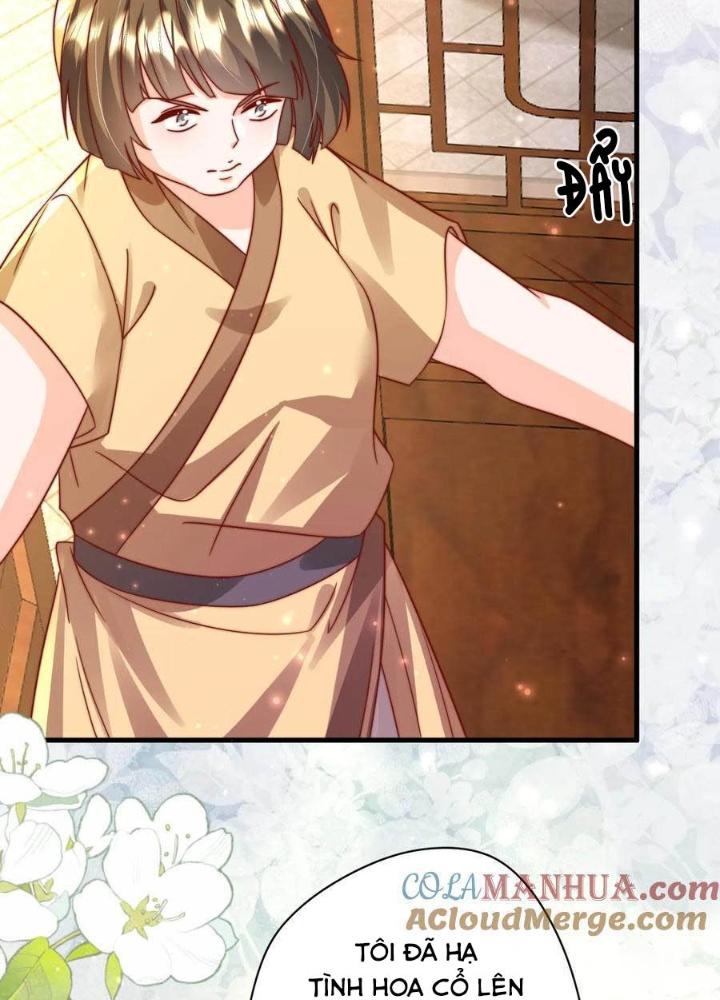 Tiểu Manh Bảo Bốn Tuổi Theo Sư Phụ Xuống Núi Chapter 289 - Trang 3