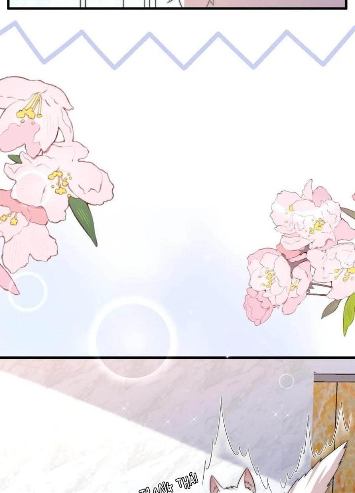 Tiểu Manh Bảo Bốn Tuổi Theo Sư Phụ Xuống Núi Chapter 291 - Trang 3