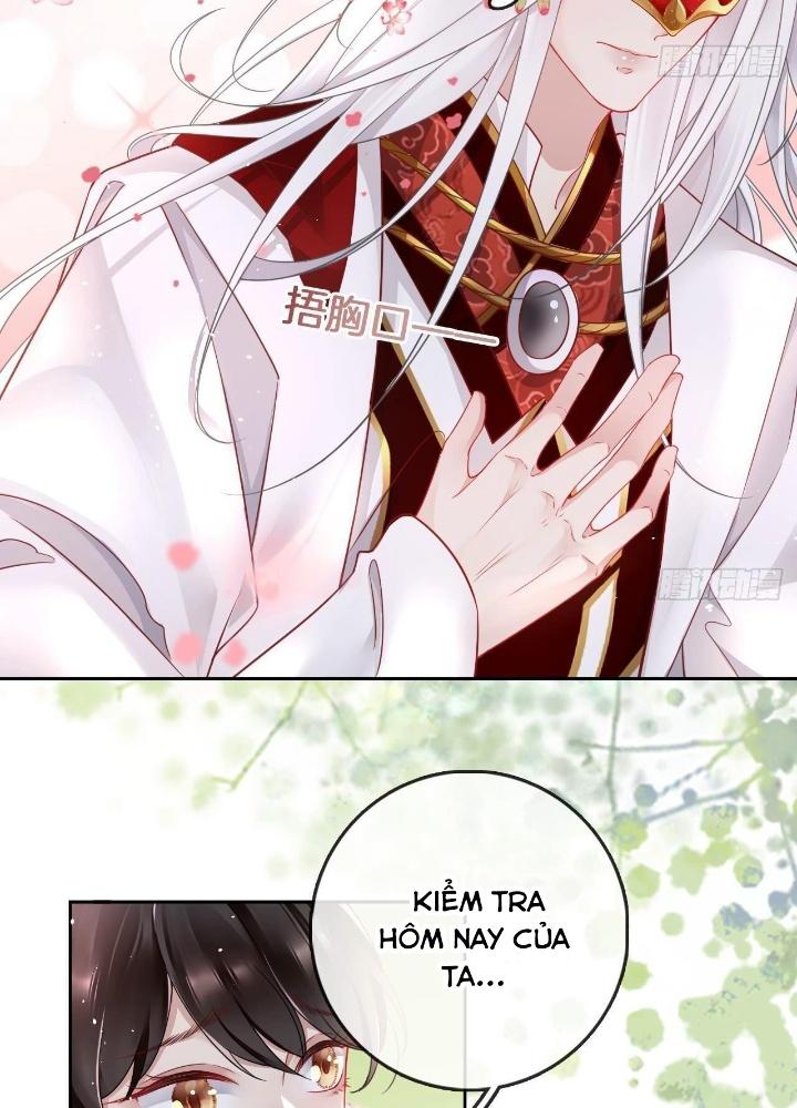 Thiên Hạ Vô Song Chapter 12 - Trang 2