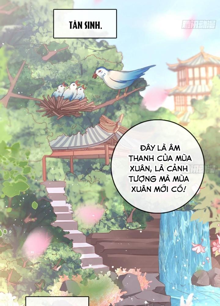 Thiên Hạ Vô Song Chapter 13 - Trang 2