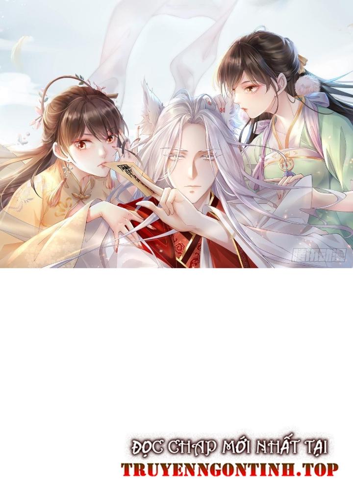 Thiên Hạ Vô Song Chapter 17 - Trang 2