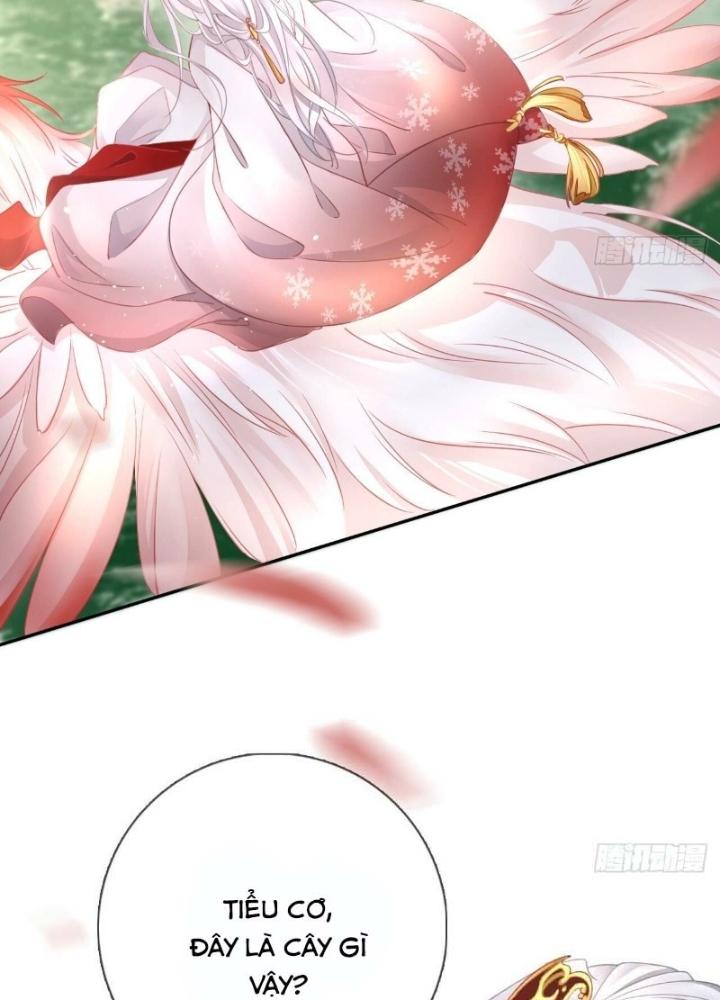 Thiên Hạ Vô Song Chapter 20 - Trang 2