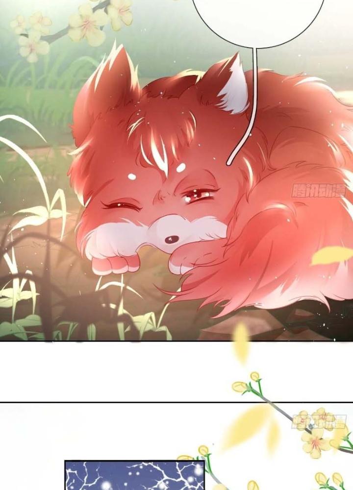 Thiên Hạ Vô Song Chapter 21 - Trang 2