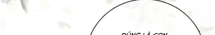 Thiên Hạ Vô Song Chapter 28 - Trang 2