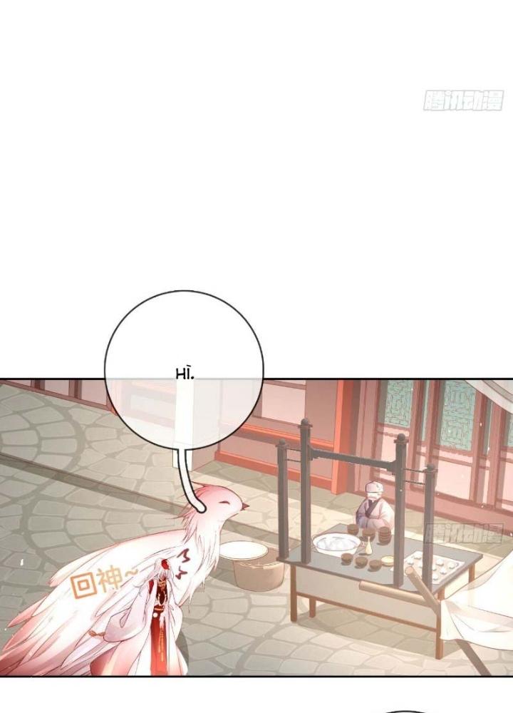 Thiên Hạ Vô Song Chapter 31 - Trang 2