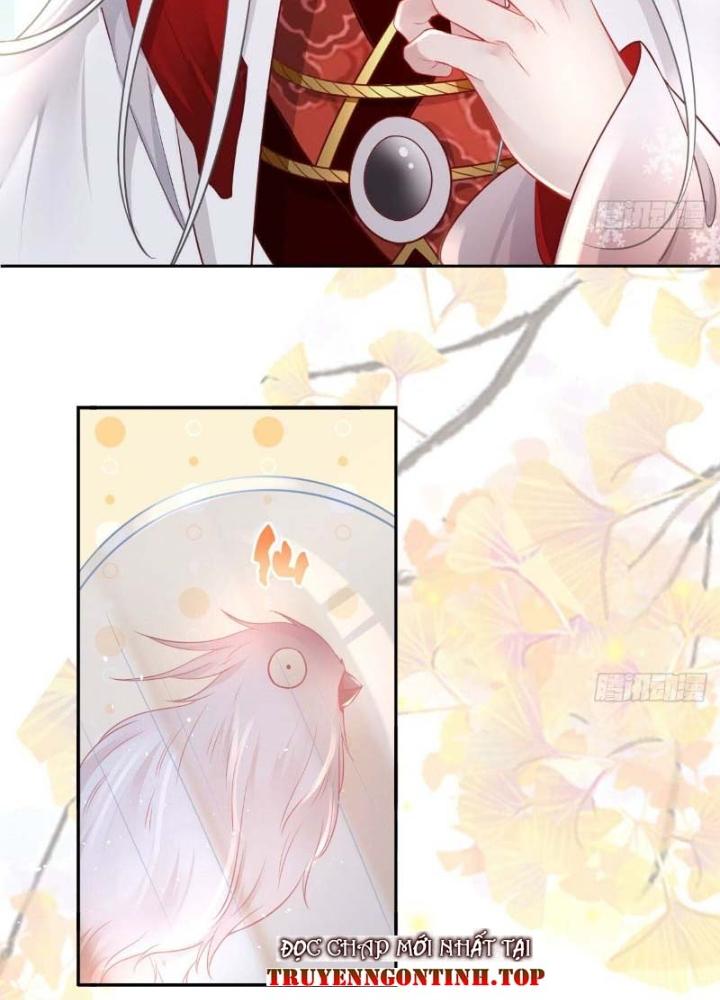 Thiên Hạ Vô Song Chapter 38 - Trang 2