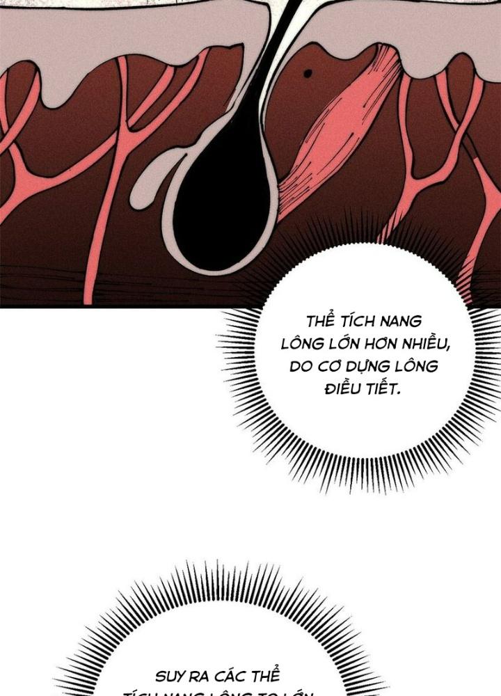 Người Chơi Hung Mãnh Chapter 104 - Trang 2