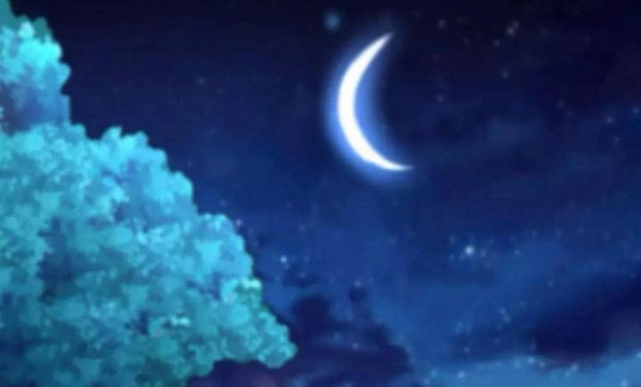 Nhất Đỉnh Vương Phi Chapter 160 - Trang 2