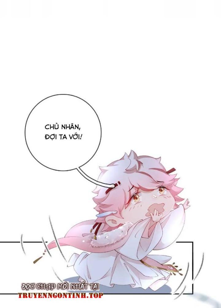 Thiên Hạ Vô Song Chapter 45 - Trang 2