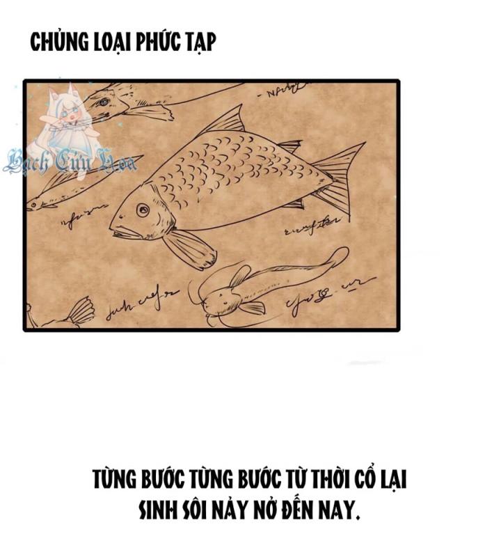 Tiền Tuyến Vùng Nước Sâu Chapter 1 - Trang 2