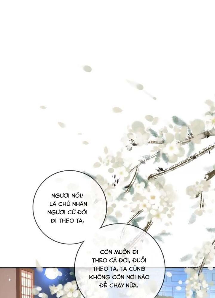 Thiên Hạ Vô Song Chapter 51 - Next Chapter 52