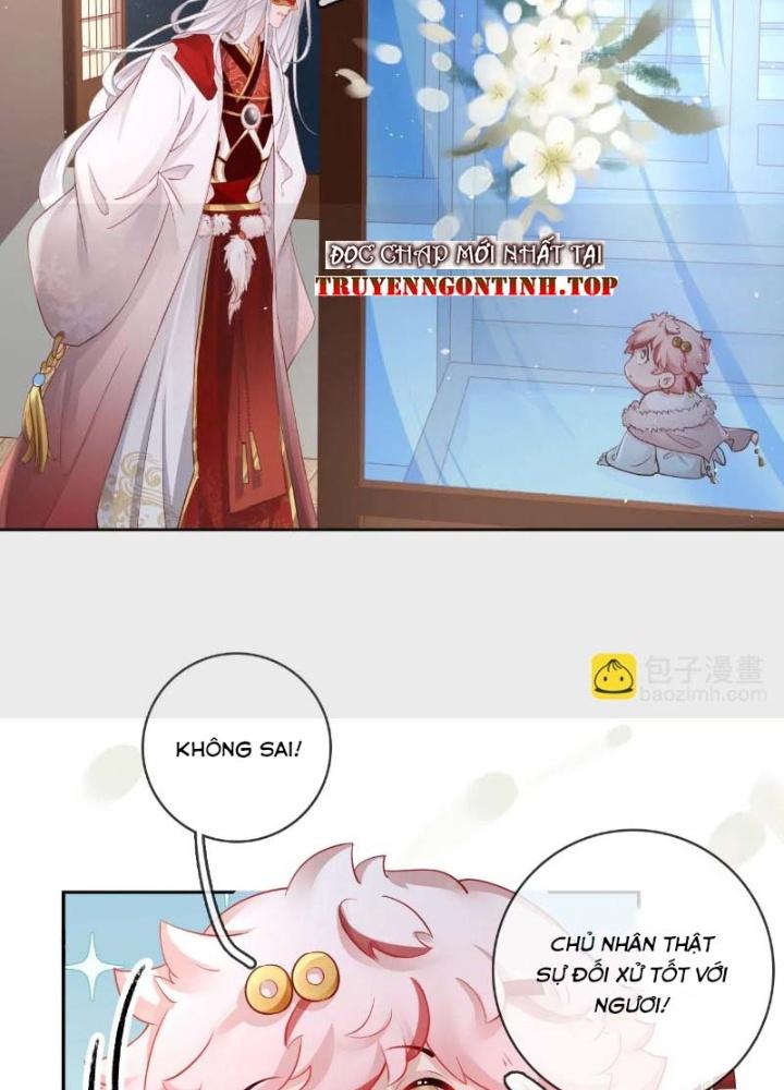 Thiên Hạ Vô Song Chapter 51 - Next Chapter 52