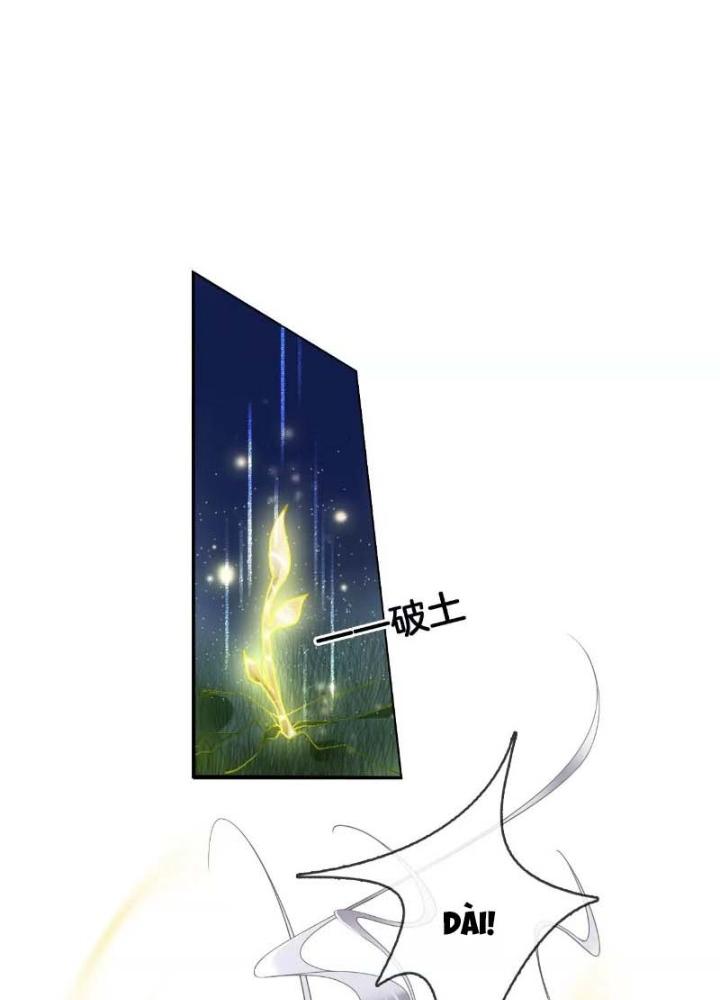 Thiên Hạ Vô Song Chapter 57 - Trang 2