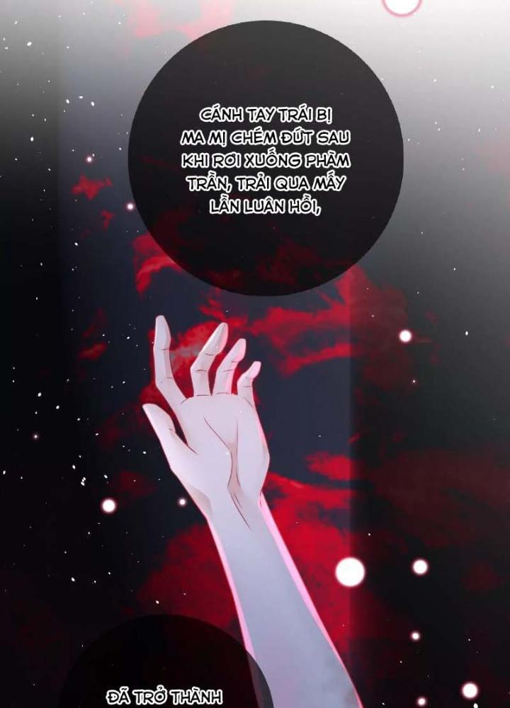 Thiên Hạ Vô Song Chapter 58 - Trang 2