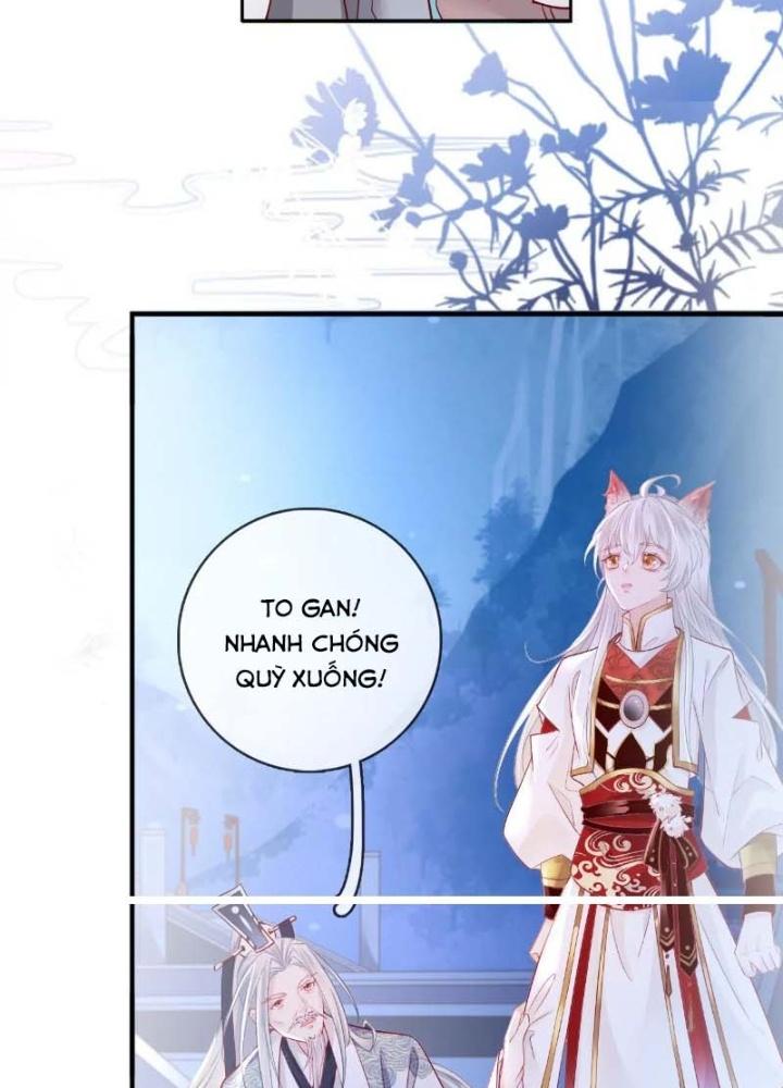 Thiên Hạ Vô Song Chapter 59 - Trang 2