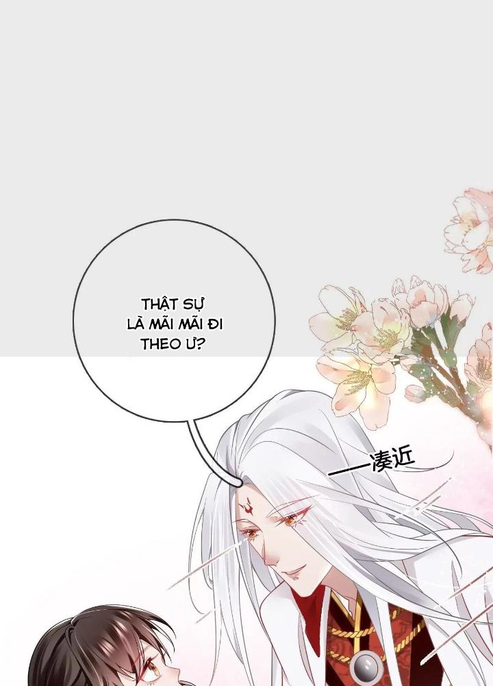 Thiên Hạ Vô Song Chapter 66 - Trang 2