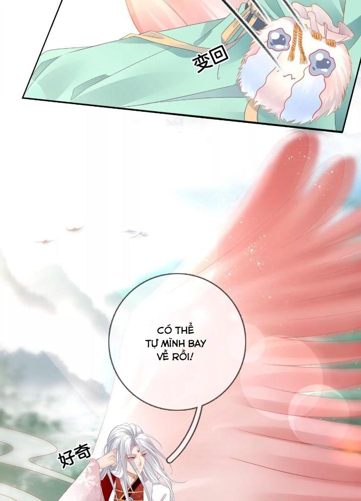 Thiên Hạ Vô Song Chapter 67 - Trang 2