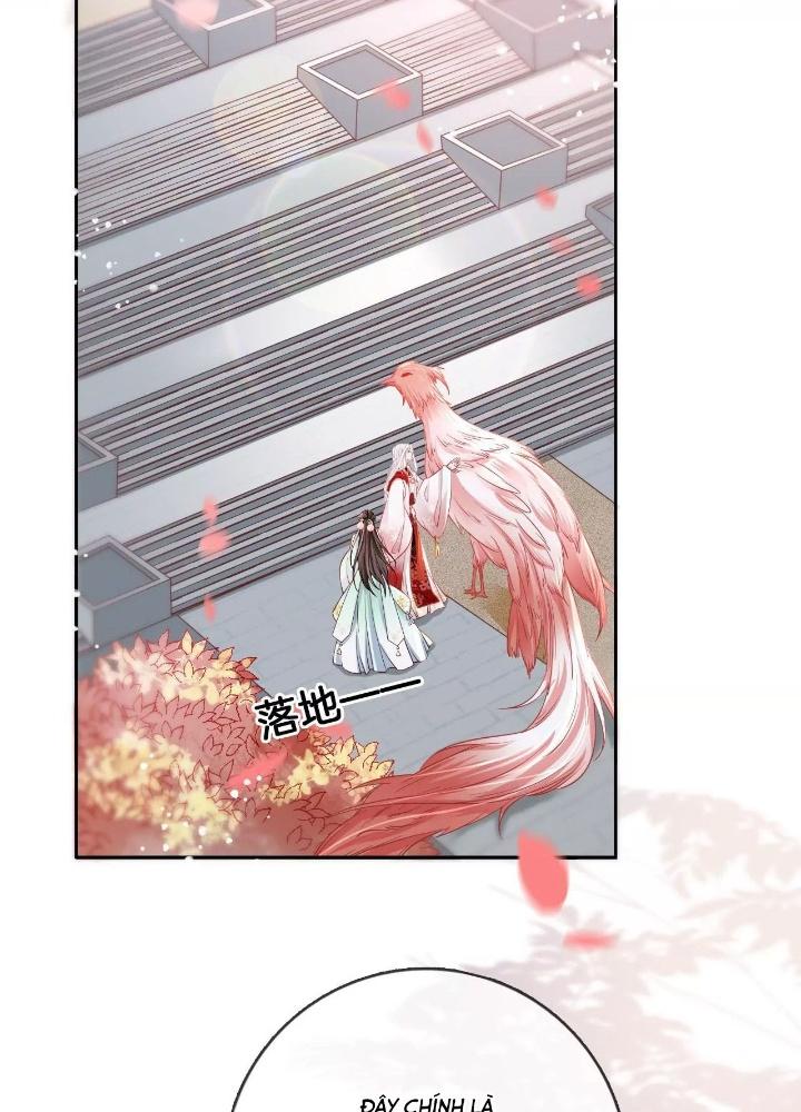 Thiên Hạ Vô Song Chapter 68 - Trang 2