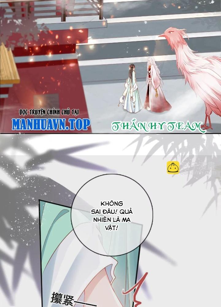 Thiên Hạ Vô Song Chapter 68 - Trang 2