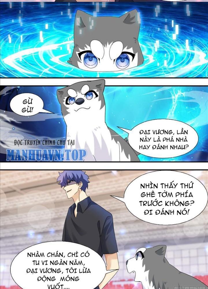 Trọng Sinh Thành Chó Của Nữ Thần Chapter 325 - Trang 4