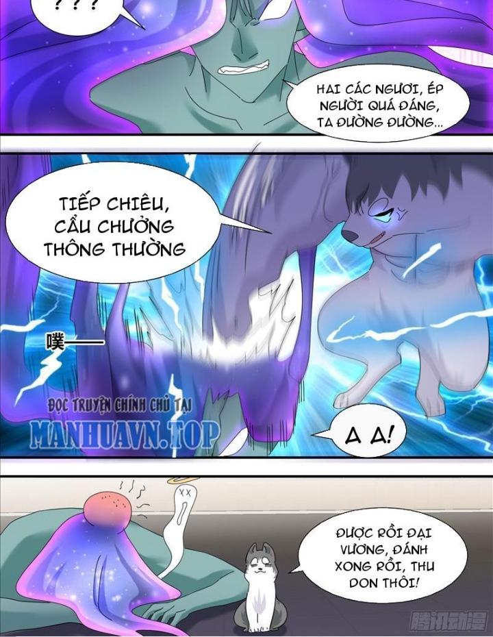 Trọng Sinh Thành Chó Của Nữ Thần Chapter 325 - Trang 4
