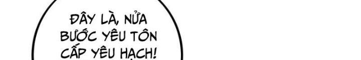 Trọng Sinh 1000 Lần, Ta Vô Địch Chapter 137 - Trang 4