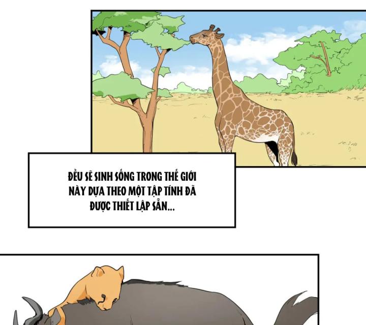 Nửa Cái Đầu Trọc Chapter 7 - Trang 2