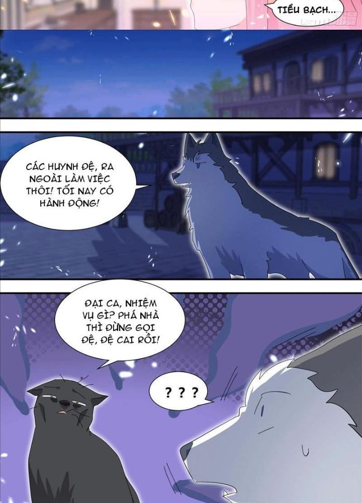 Trọng Sinh Thành Chó Của Nữ Thần Chapter 327 - Trang 4