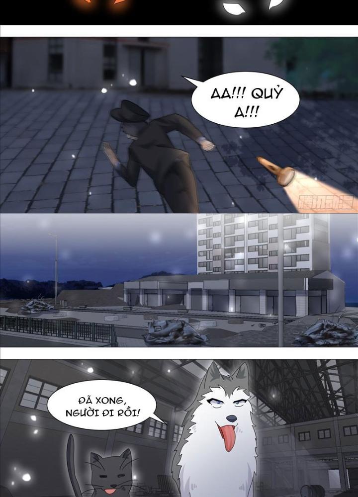 Trọng Sinh Thành Chó Của Nữ Thần Chapter 328 - Trang 4