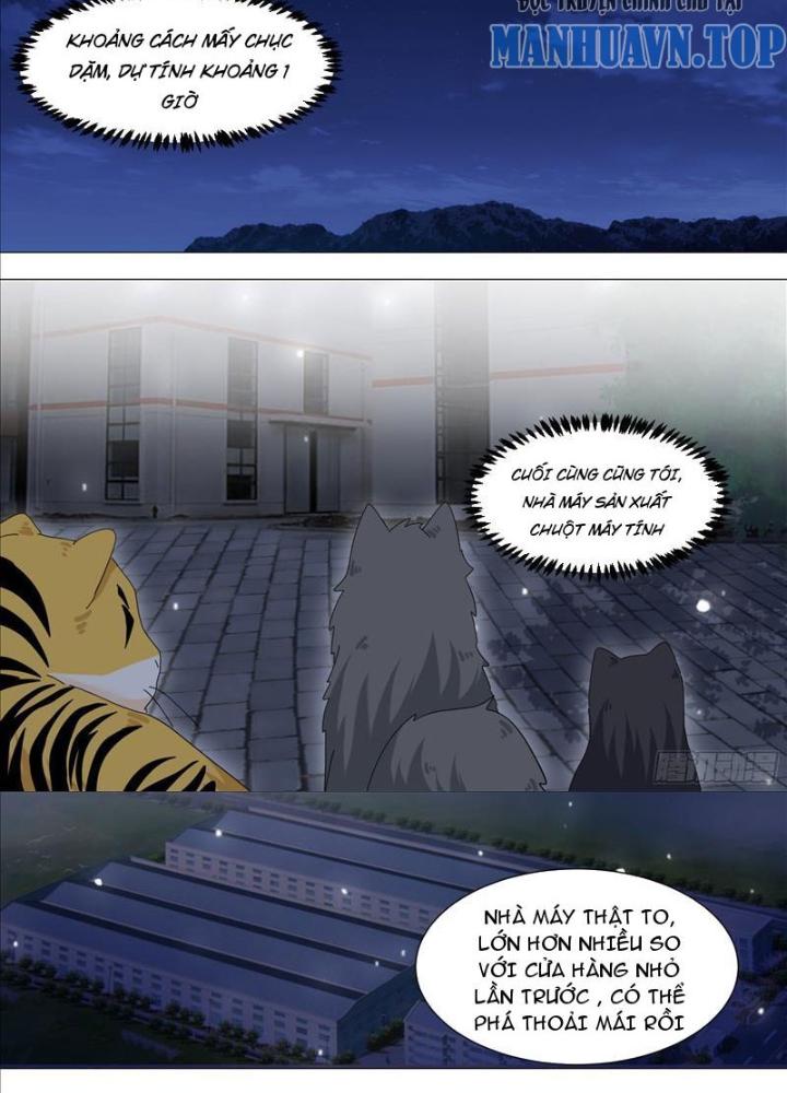 Trọng Sinh Thành Chó Của Nữ Thần Chapter 328 - Trang 4