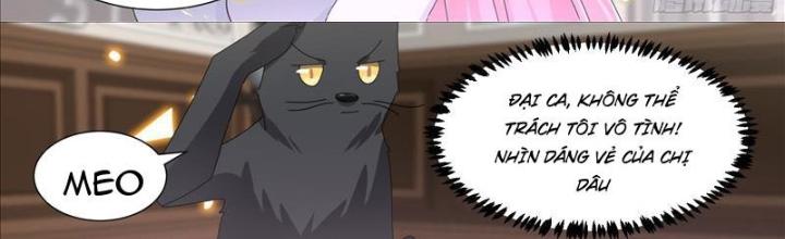 Trọng Sinh Thành Chó Của Nữ Thần Chapter 330 - Trang 4