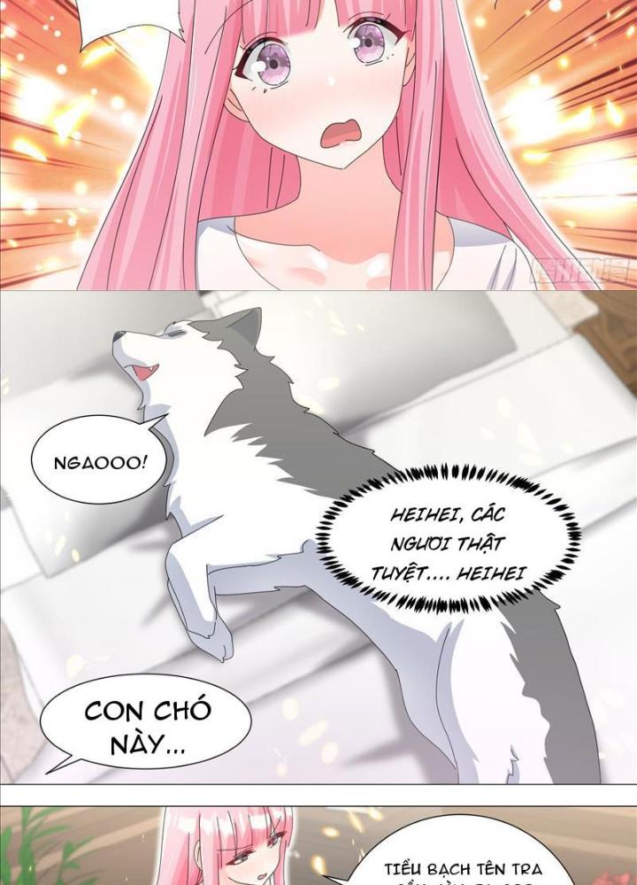 Trọng Sinh Thành Chó Của Nữ Thần Chapter 330 - Trang 4