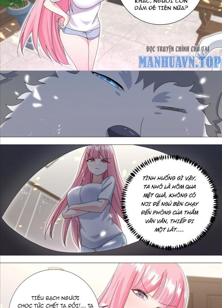 Trọng Sinh Thành Chó Của Nữ Thần Chapter 330 - Trang 4