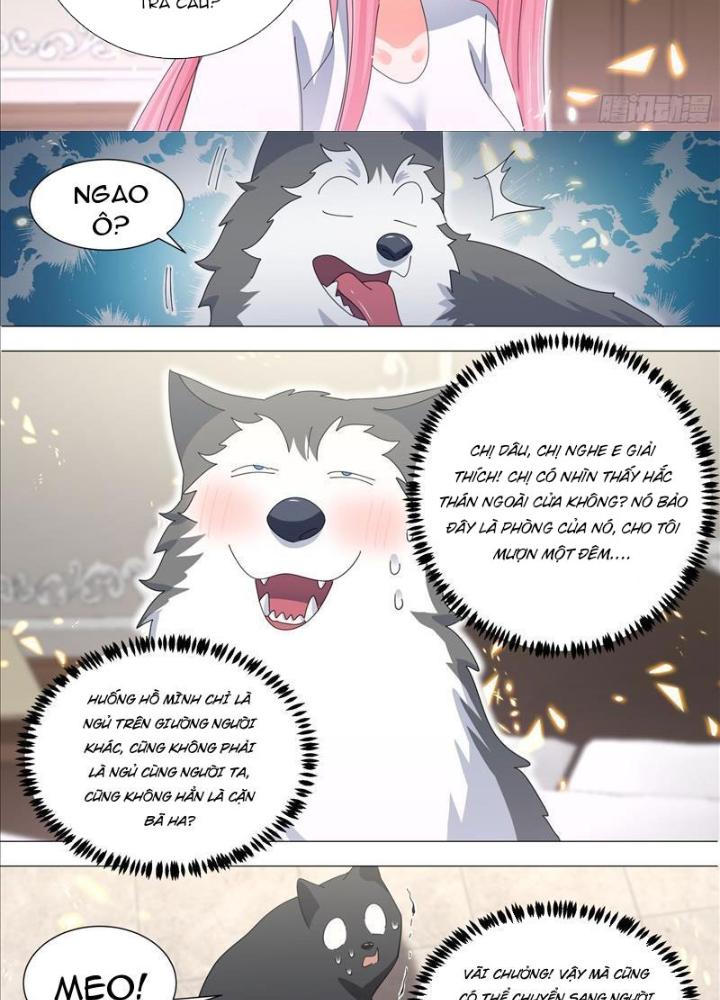 Trọng Sinh Thành Chó Của Nữ Thần Chapter 330 - Trang 4