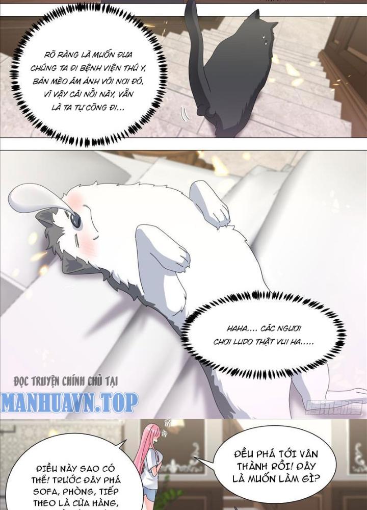 Trọng Sinh Thành Chó Của Nữ Thần Chapter 330 - Trang 4