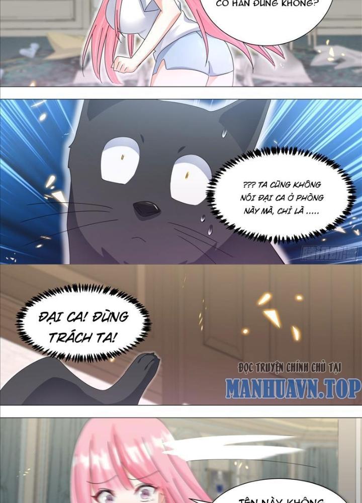Trọng Sinh Thành Chó Của Nữ Thần Chapter 330 - Trang 4