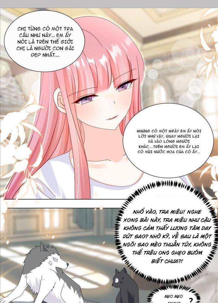 Trọng Sinh Thành Chó Của Nữ Thần Chapter 331 - Trang 4