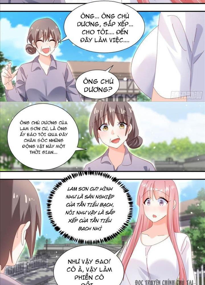 Trọng Sinh Thành Chó Của Nữ Thần Chapter 331 - Trang 4