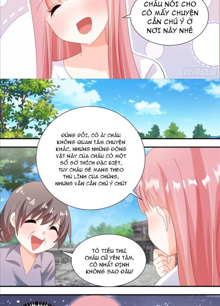 Trọng Sinh Thành Chó Của Nữ Thần Chapter 331 - Trang 4