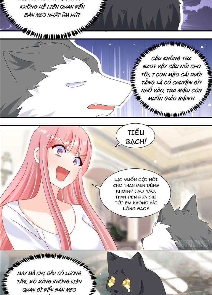 Trọng Sinh Thành Chó Của Nữ Thần Chapter 331 - Trang 4
