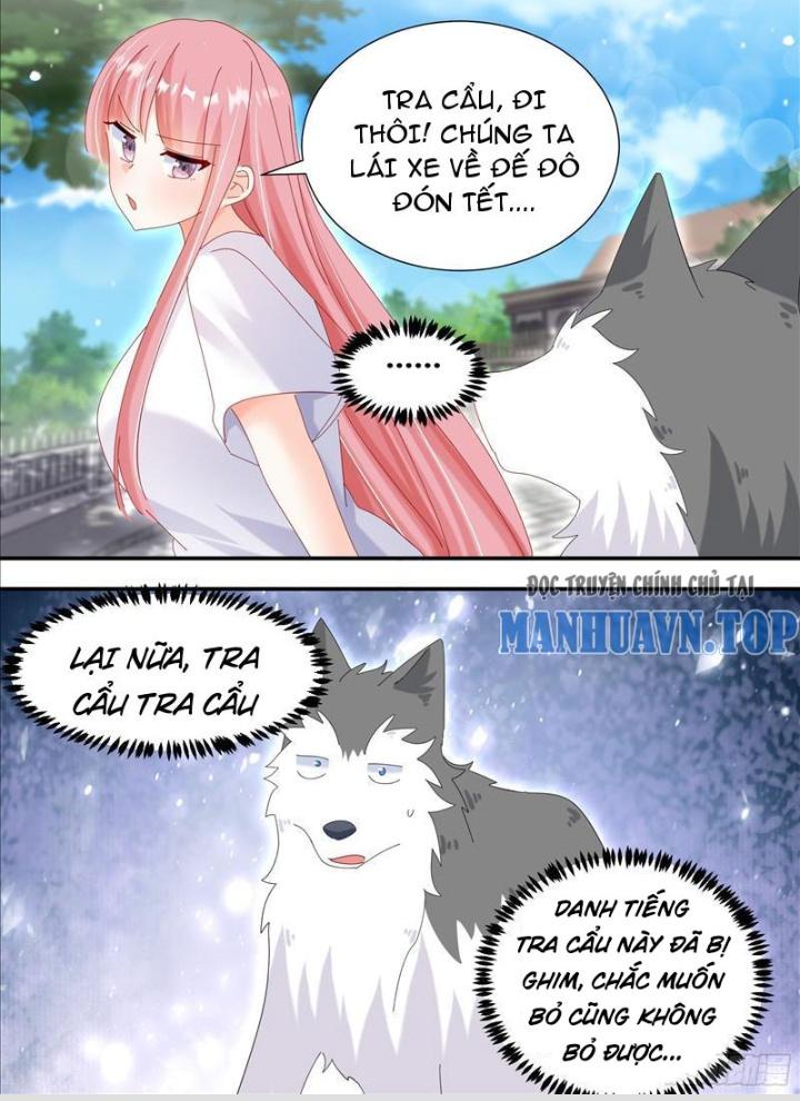 Trọng Sinh Thành Chó Của Nữ Thần Chapter 331 - Trang 4